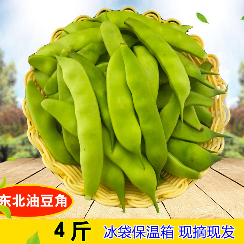 东北特产新鲜油豆角现摘现发图片