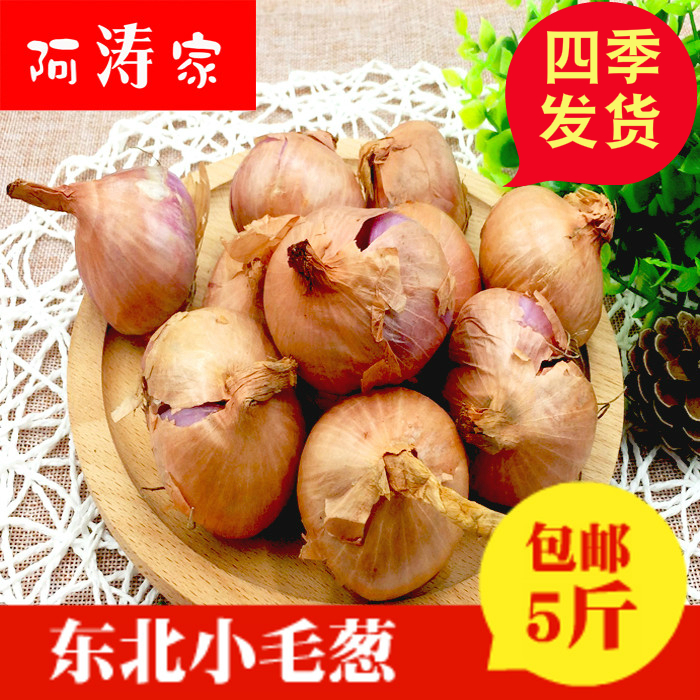 新鲜东北特产农家斤装红葱头