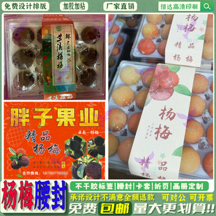 慈溪精选杨梅贴纸创意设计桑葚鲜果盒贴草莓蓝莓不干胶标签印刷