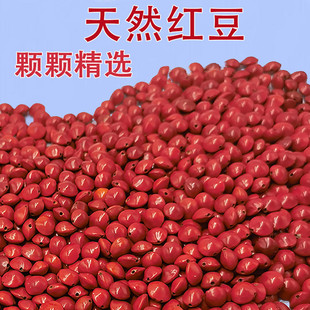 相思豆手链真品相思豆天然打孔红豆手串男女情侣红豆散珠子安红豆