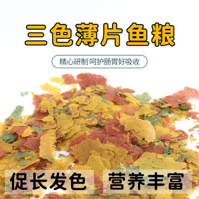 鱼食热带鱼小型鱼薄片饲料孔雀鱼鳑鲏斗鱼神仙鱼灯鱼玛丽幼鱼鱼粮