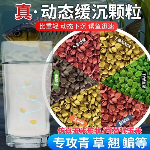 钓鱼巨物专攻青草翘嘴鳊鱼动态缓沉爆窝颗粒打浮行程野筏钓底窝料