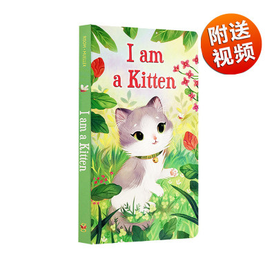 进口英文原版绘本 I am a Kitten 我是一只小猫 斯凯瑞我是一只兔子同系列 儿童启蒙早教纸板书 学习英语书亲子互动阅读睡前故事