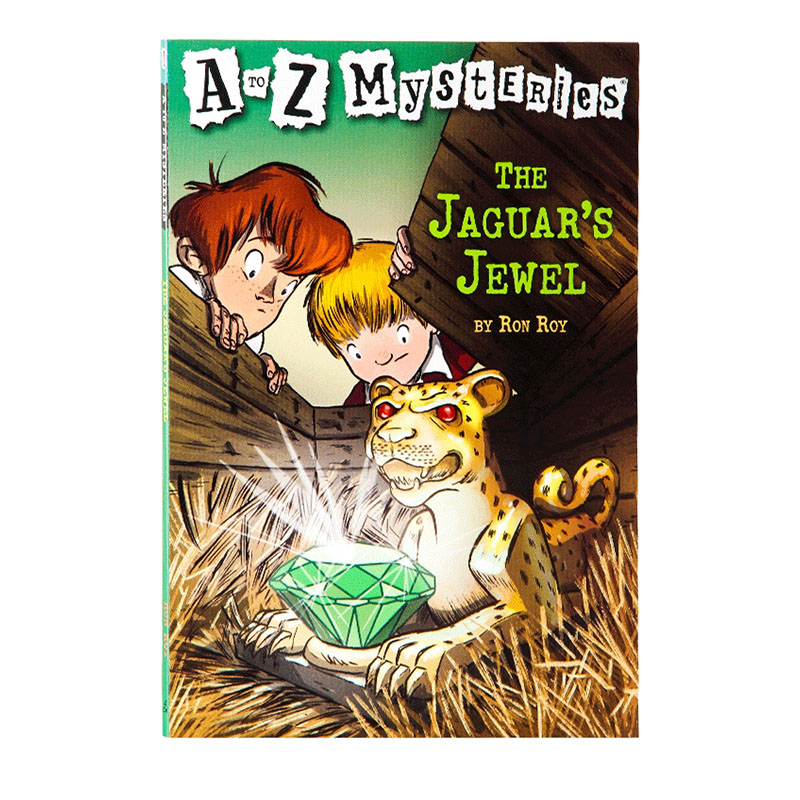 进口英文原版遗失的宝石课外读物