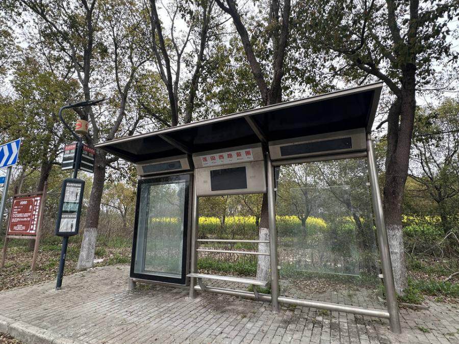 被执行人上海岑欣果蔬专业合作社名下的栽种在田山庄村土地上的树木