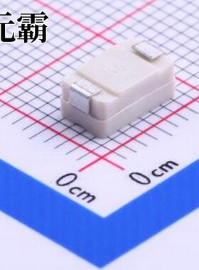 0459.250UR 一次性保险丝 125V贴片式保险丝 SMD,7.2x4.3mm