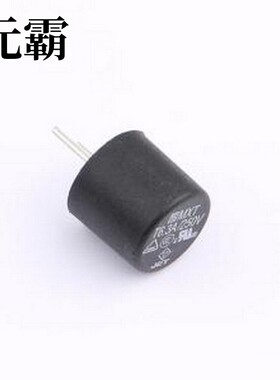 0034.6923 一次性保险丝 250V 插件