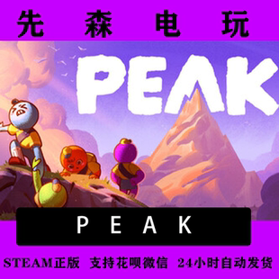 激活码 Steam正版 国区 拉我一把 cdKey PEAK