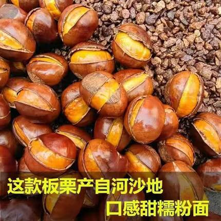 栗子熟了炒熟栗子仁即食带壳板栗仁开口熟栗子坚果零食
