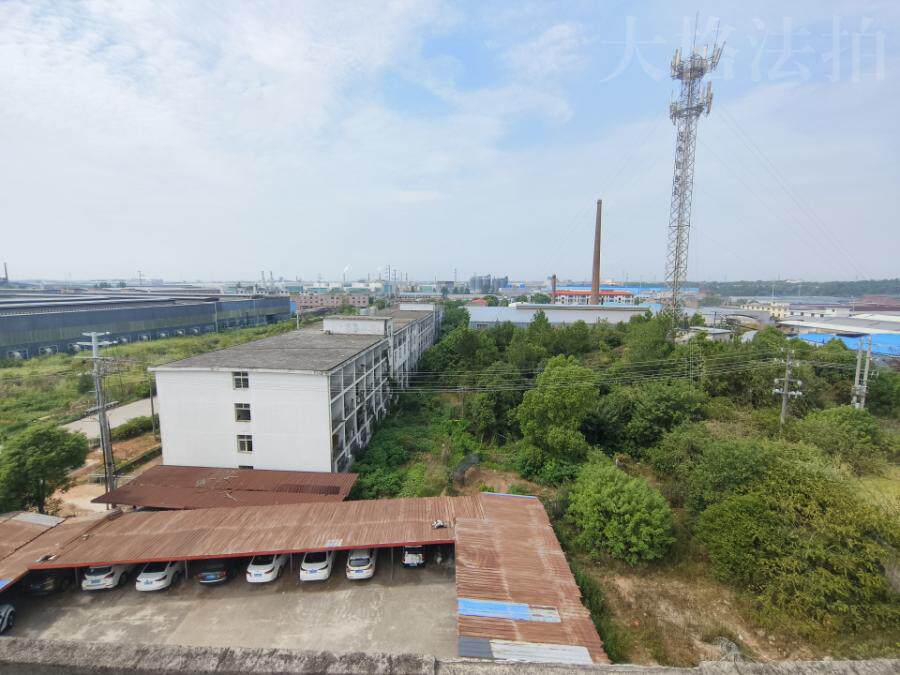 4月12日宜春市工业大道69号土地厂房及地上建筑物、构筑物、相关附属设施苗木等资产网络拍卖公告