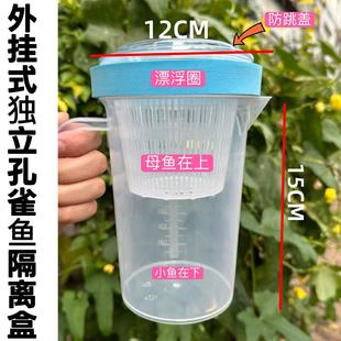 孔雀鱼繁殖盒鱼缸隔离盒小鱼幼鱼母鱼产房鱼苗悬浮式漂浮孵化盒罐