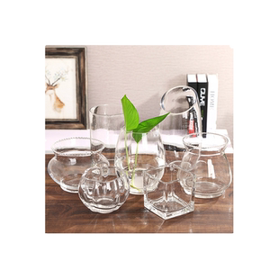 简约小清新玻璃花瓶透明水培花盆水养绿萝植物器皿小号富贵竹摆件