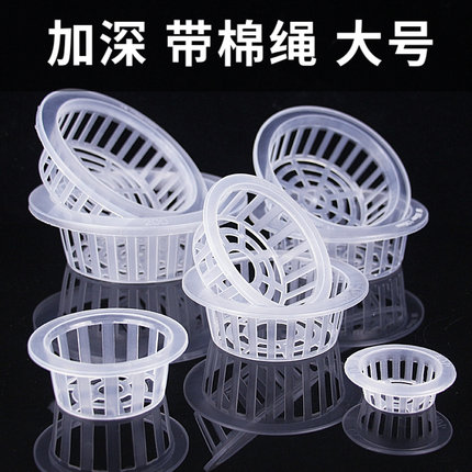 无土水培定植篮鱼缸花盆固定篮正方形加深玻璃花瓶绿萝植物固根架
