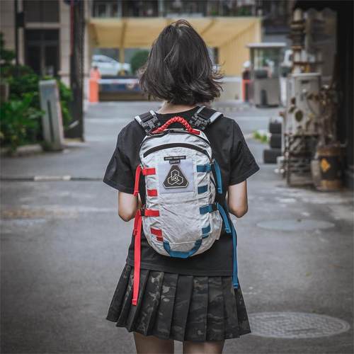 【liigear官方新款大力马背包