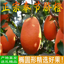 橙子正宗重庆奉节脐橙纽荷尔长虹椭圆形新鲜水果超甜无籽送礼 包邮