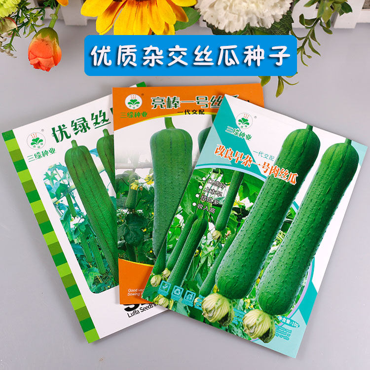 高产早熟丝瓜种子蔬菜种子肉厚籽少挂果多时间长不早衰原装正品