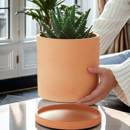 多肉绿植红土粗陶土花盆