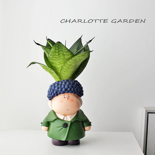 虎皮兰创意桌面小盆栽