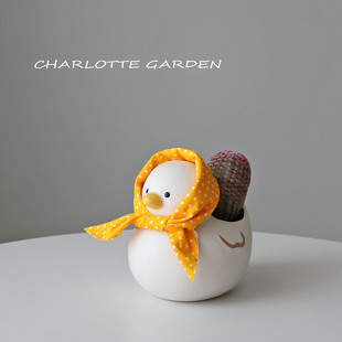 红太阳仙人掌仙人球 趣味解压绿植盆栽 办公室桌面绿植 创意礼物