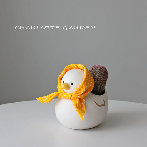 红太阳仙人掌仙人球绿植