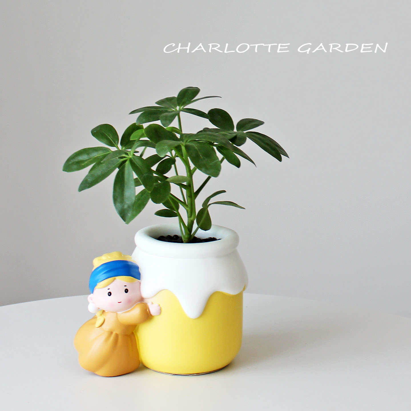 创意礼物珍珠耳环少女绿植