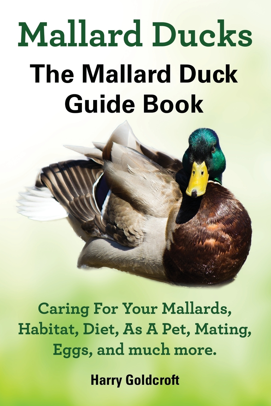 预售按需印刷Mallard Ducks