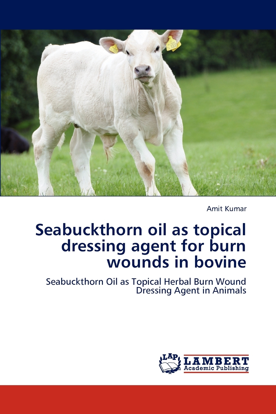 【预售 按需印刷】Seabuckthorn oil as topical dressing agent for burn wounds in bovine 书籍/杂志/报纸 原版其它 原图主图