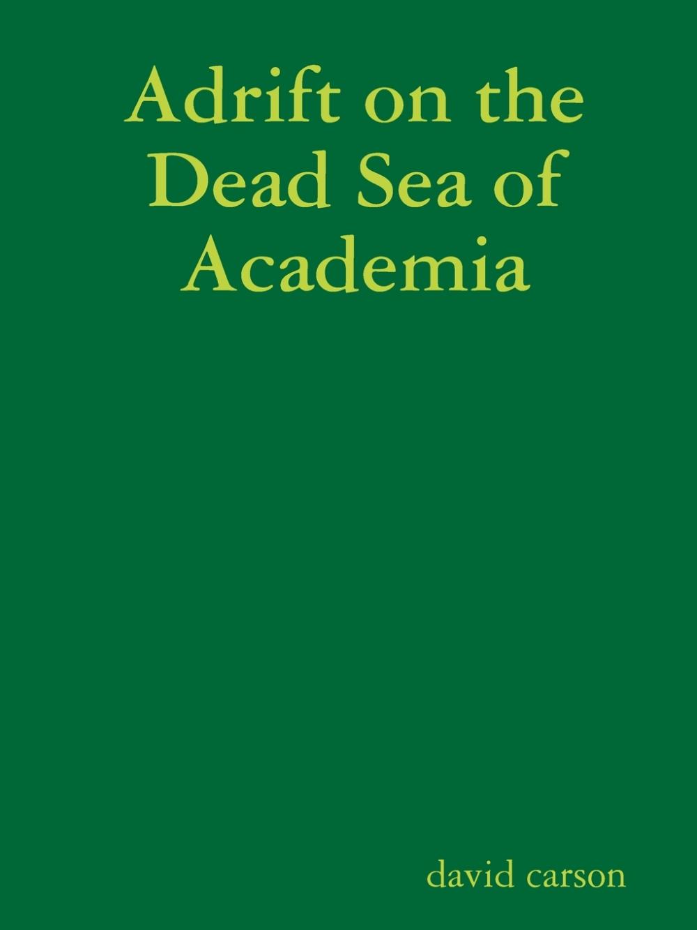 【预售 按需印刷】adrift on the dead sea of academia