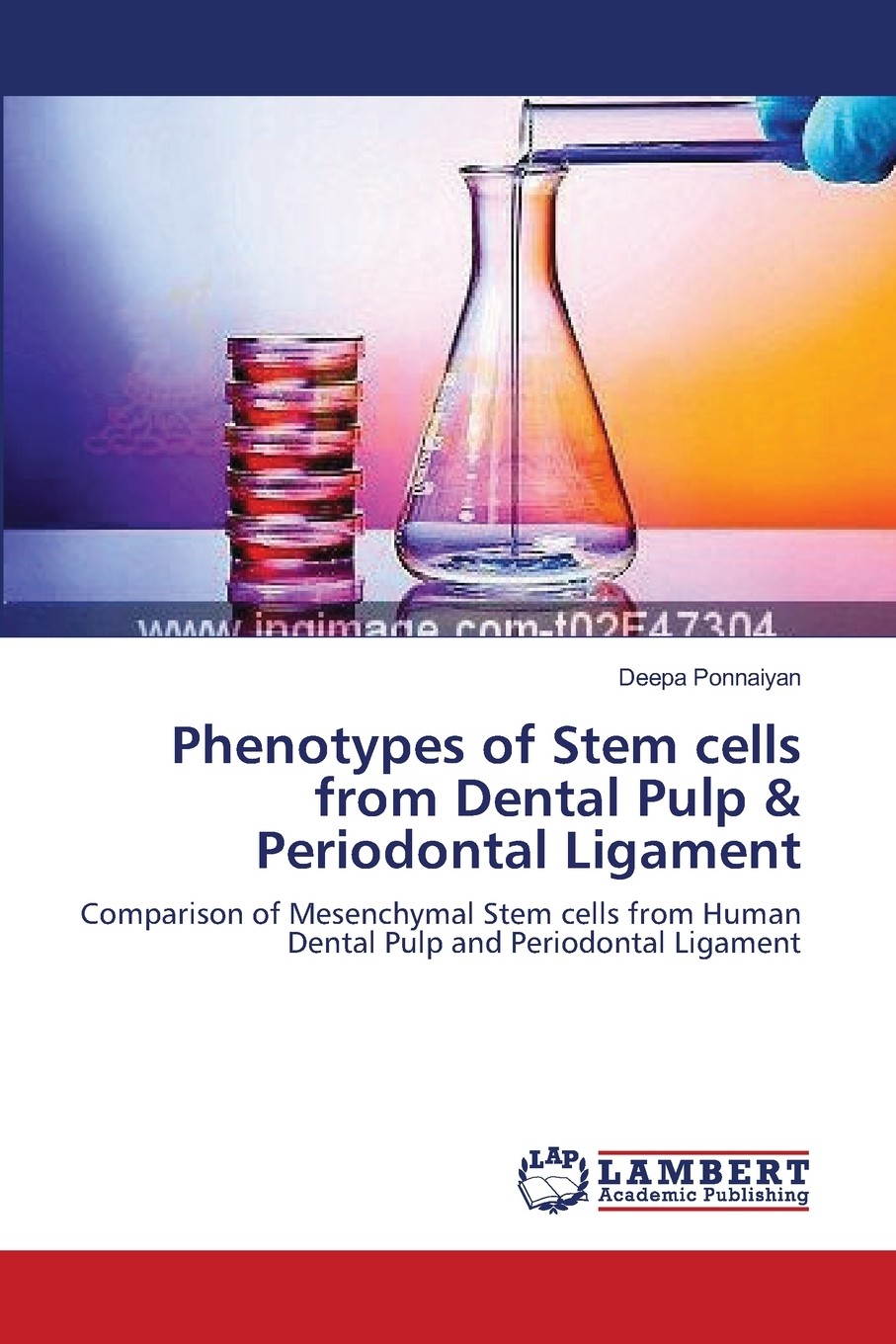 【预售 按需印刷】phenotypes of stem cells from dental pulp &