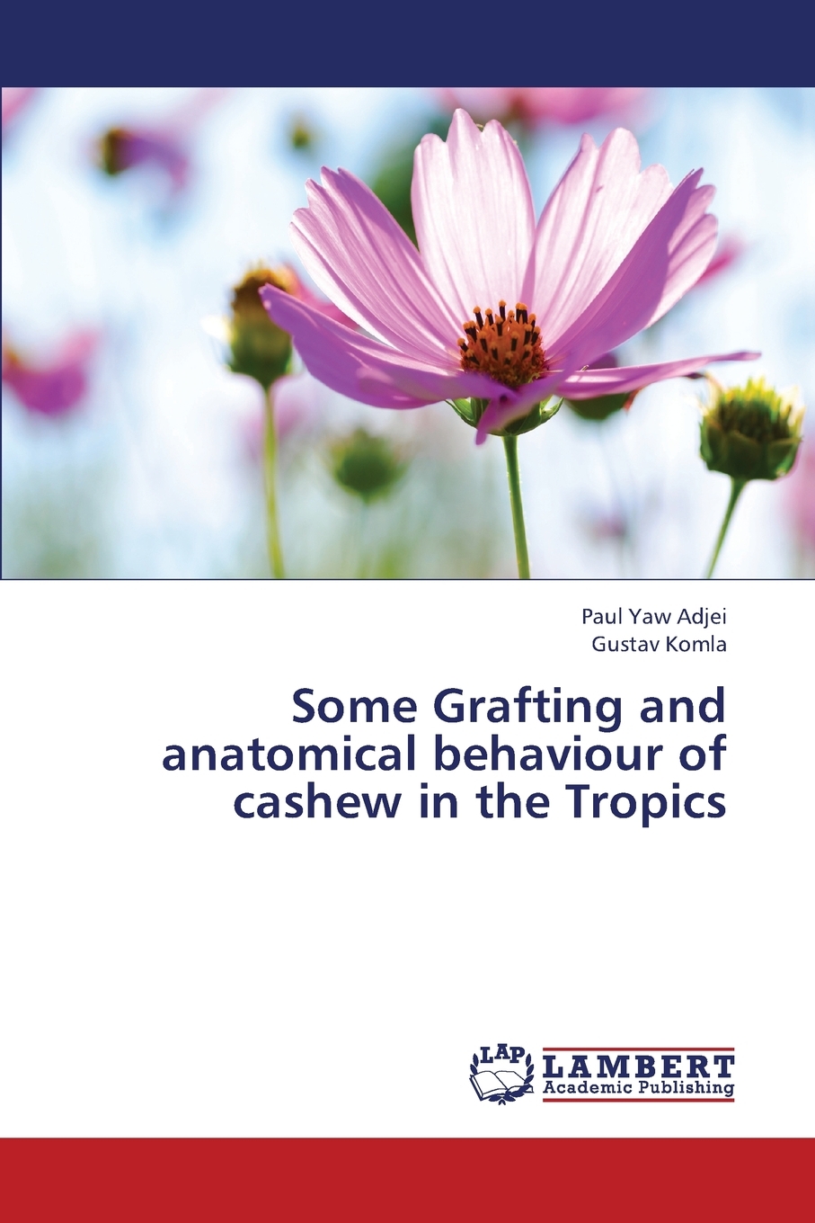 预售按需印刷 Some Grafting and Anatomical Behaviour of Cashew in the Tropics-封面