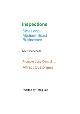 【预售 按需印刷】Inspections Small and Medium-Sized Businesses