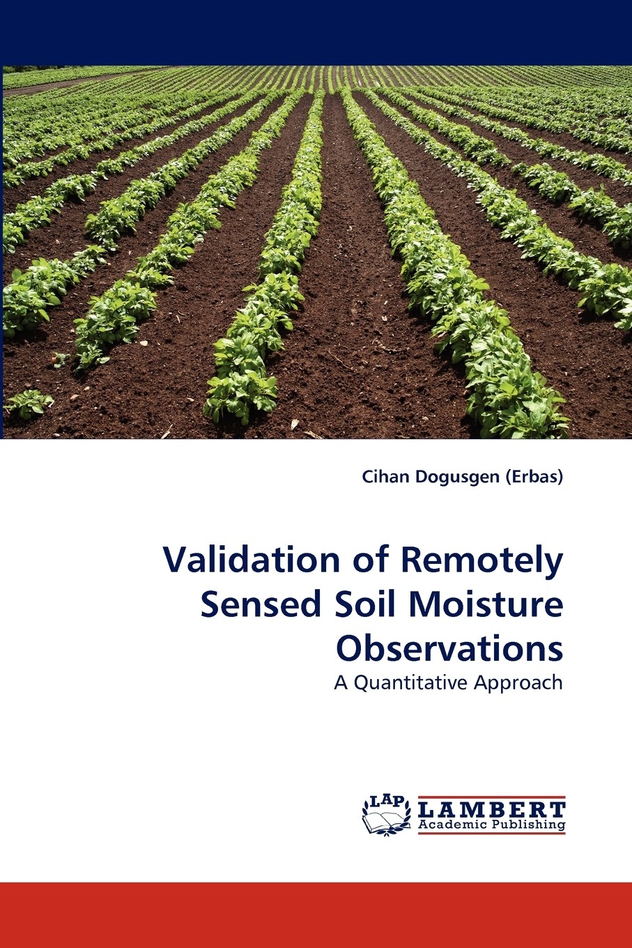 【预售 按需印刷】validation of remotely sensed soil moisture
