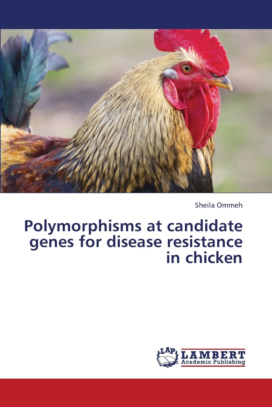 【预售 按需印刷】polymorphisms at candidate genes for disease