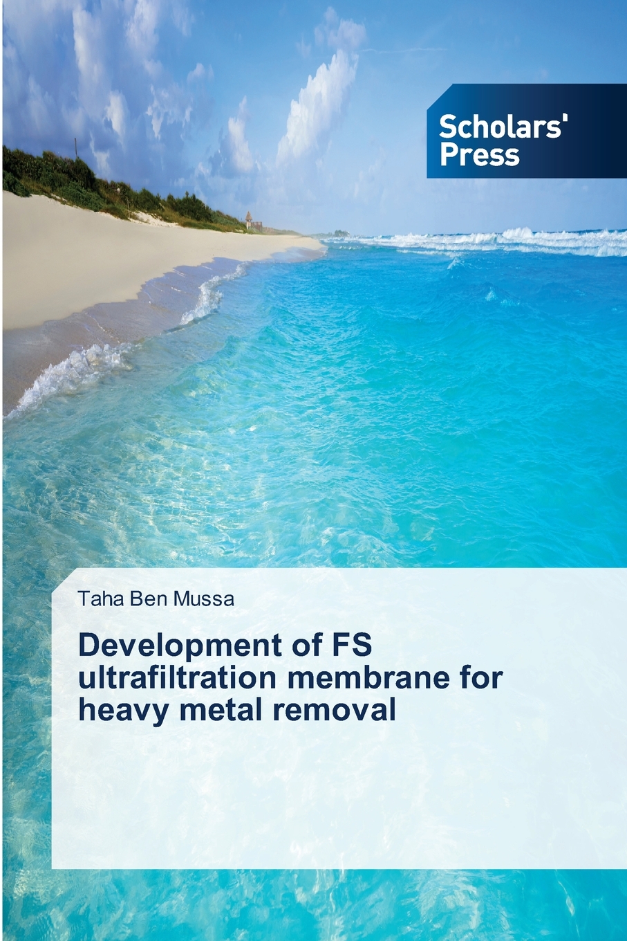 【预售按需印刷】Development of FS ultrafiltration membrane for heavy metal removal