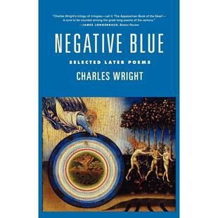 预售 Blue Negative