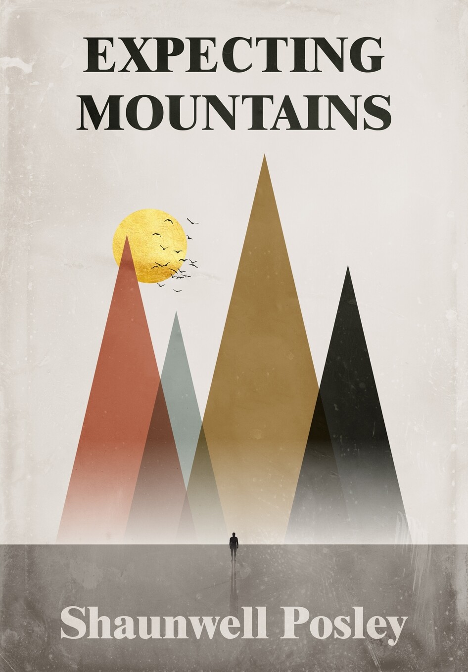 【预售 按需印刷】expecting mountains
