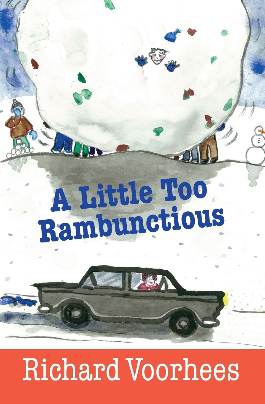 【预售 按需印刷】a little too rambunctious