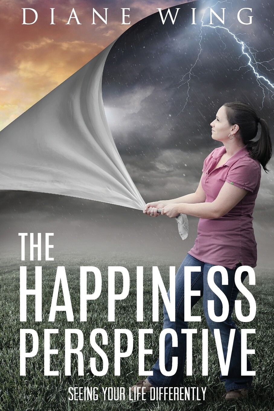 预售 按需印刷the happiness perspective