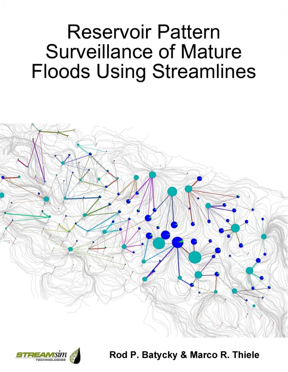 预售 按需印刷 Reservoir Pattern Surveillance of Mature Floods Using Streamlines 书籍/杂志/报纸 科普读物/自然科学/技术类原版书 原图主图