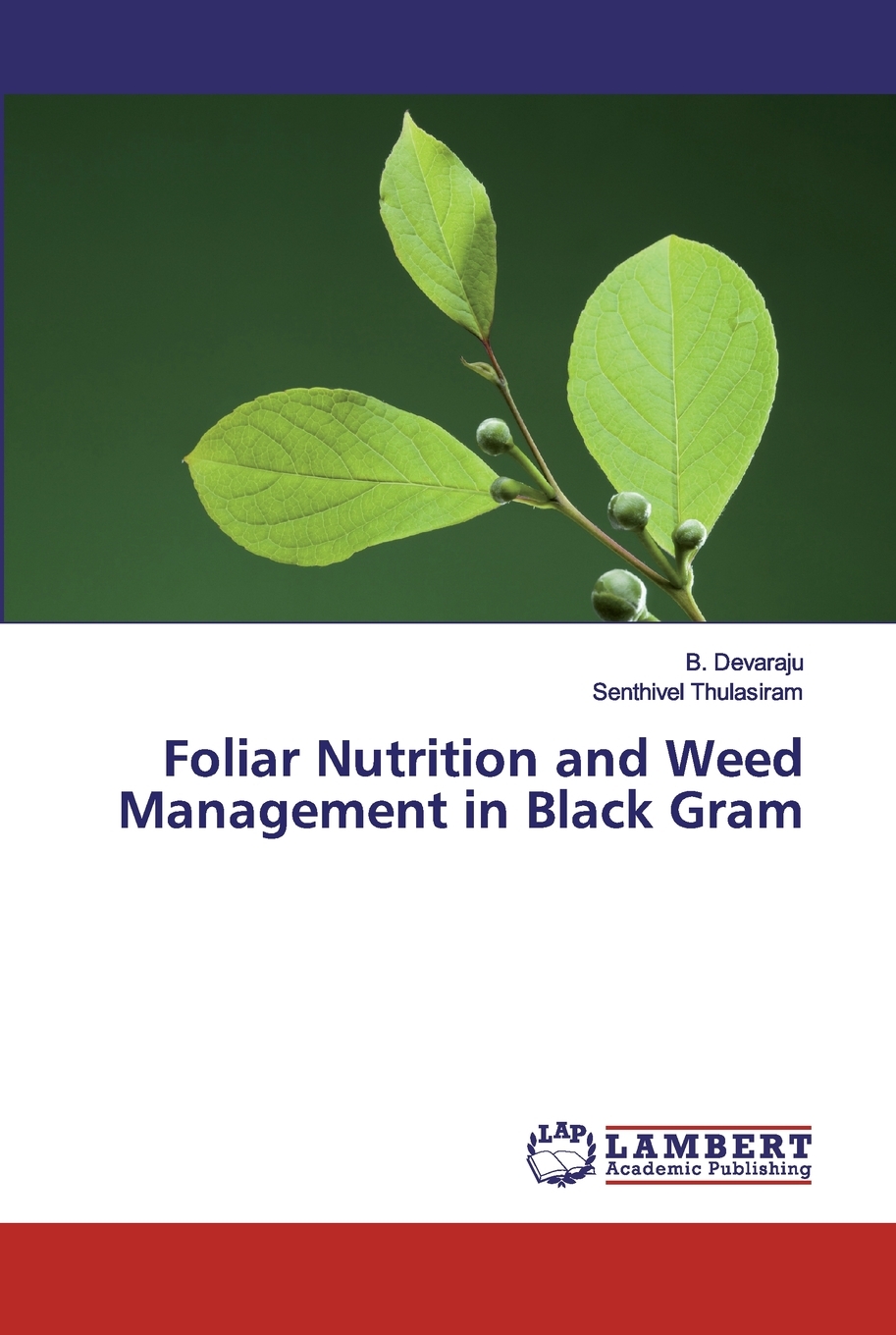 预售 按需印刷 Foliar Nutrition and Weed Management in Black Gram 书籍/杂志/报纸 科普读物/自然科学/技术类原版书 原图主图