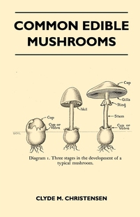预售 Edible Mushrooms 按需印刷Common