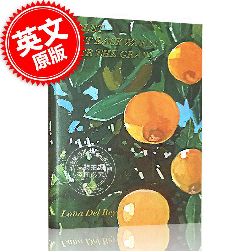 美国歌手打雷姐诗集精装