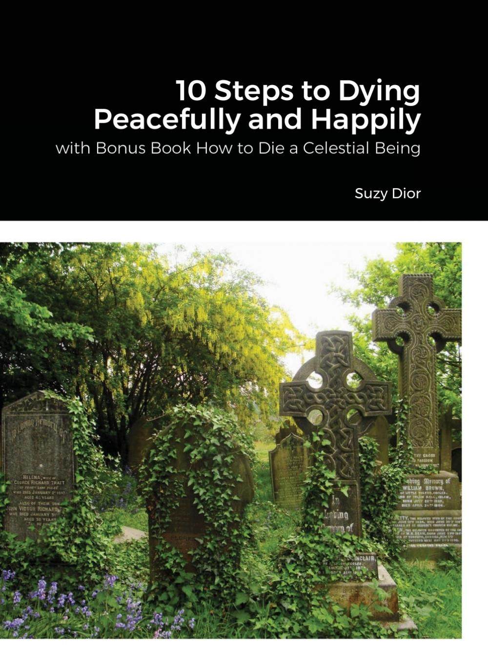 【预售 按需印刷】10 steps to dying peacefully and happily