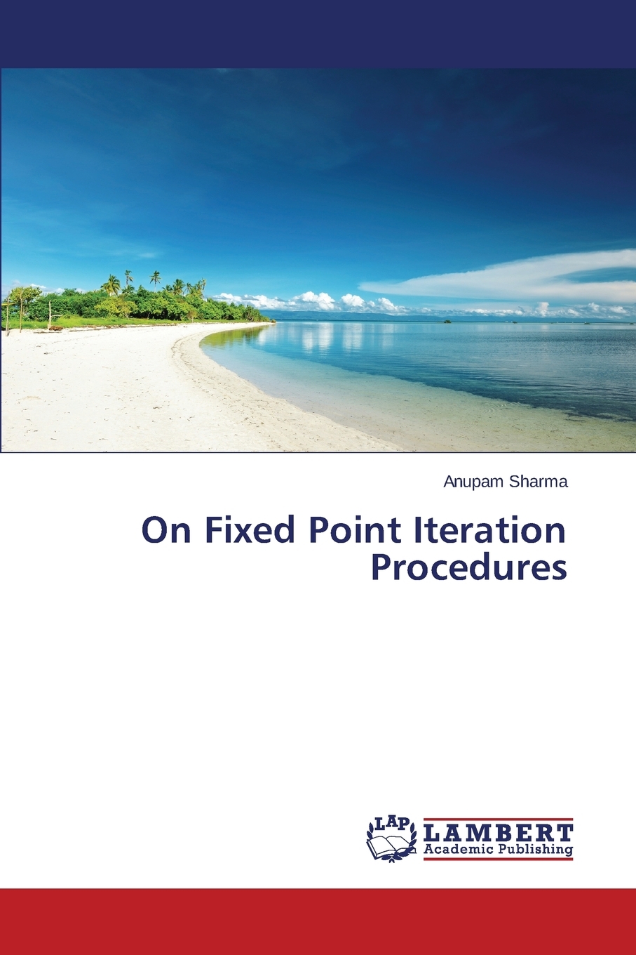 【预售按需印刷】On Fixed Point Iteration Procedures