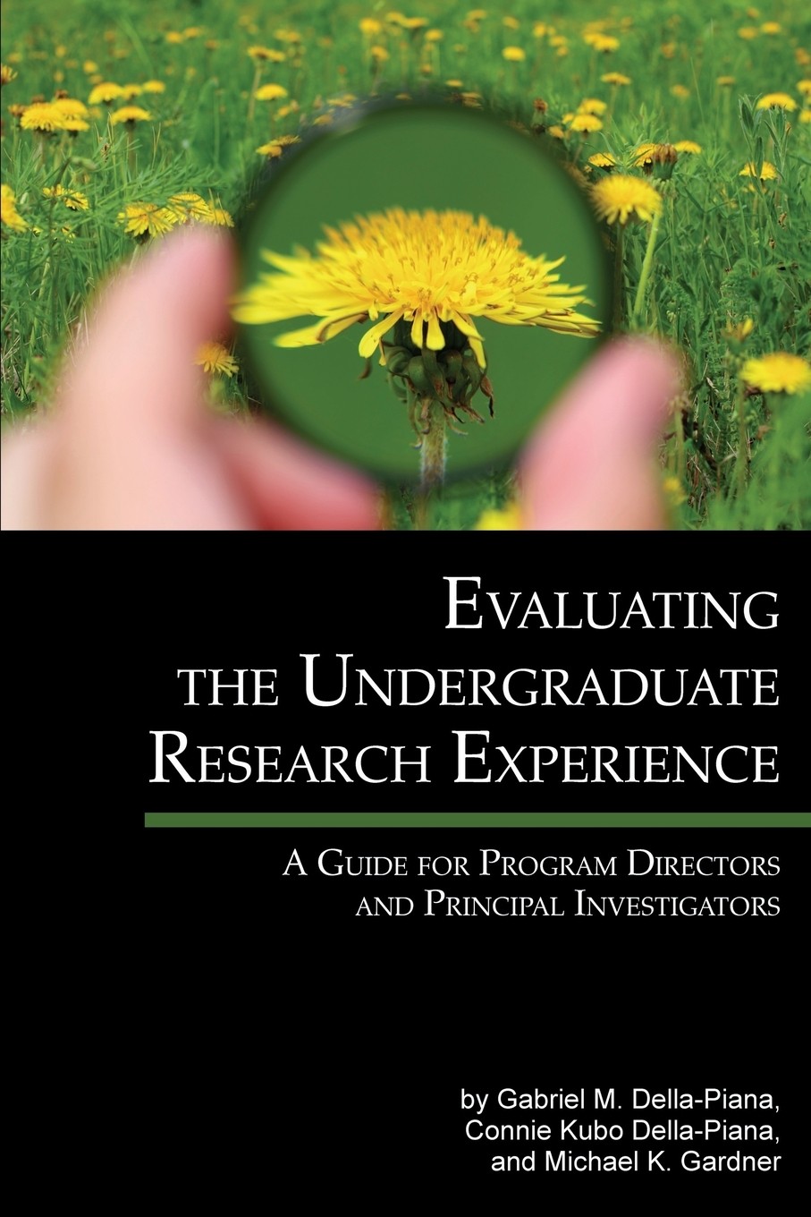 【预售 按需印刷】evaluating the undergraduate research