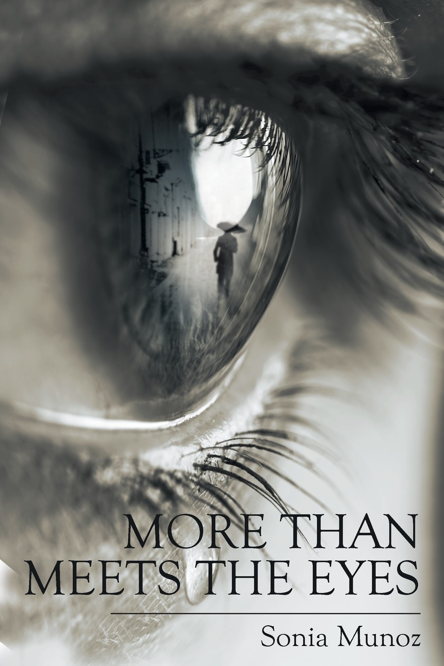 【预售 按需印刷】more than meets the eyes