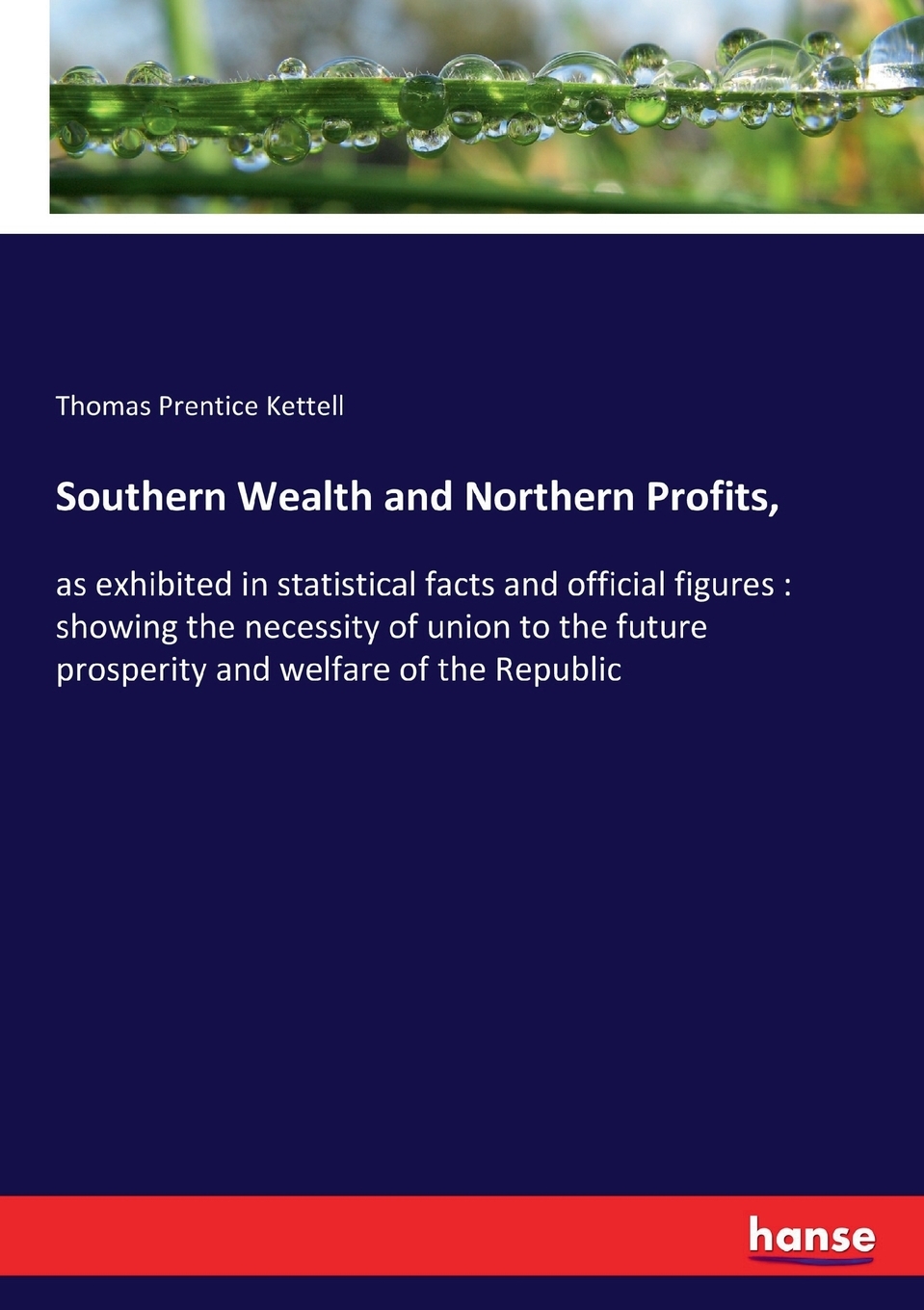 预售 按需印刷 Southern Wealth and Northern Profits 书籍/杂志/报纸 人文社科类原版书 原图主图