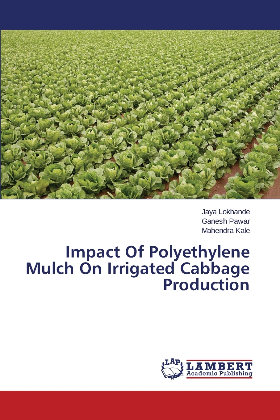 【预售 按需印刷】Impact Of Polyethylene Mulch On Irrigated Cabbage Production 书籍/杂志/报纸 科普读物/自然科学/技术类原版书 原图主图