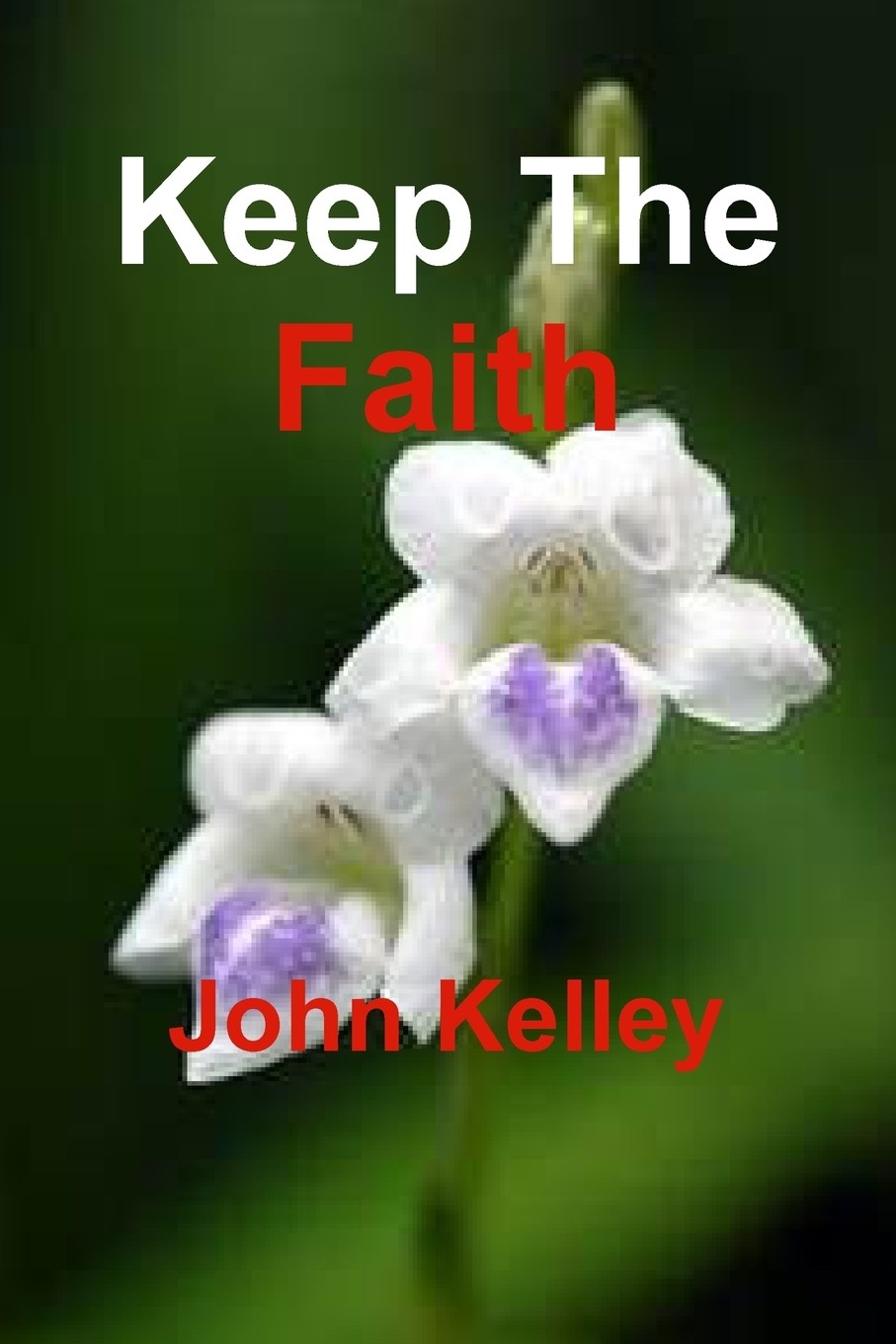 【预售 按需印刷】keep the faith