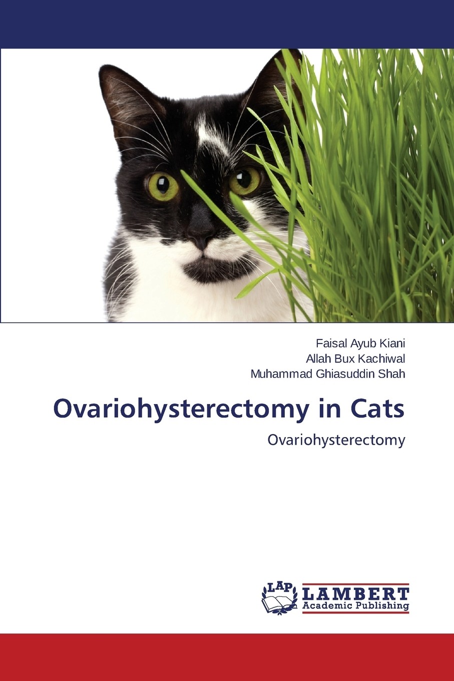 【预售按需印刷】ovariohysterectomy in cats